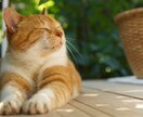 がんばるあなたに、おやすみ前の1分癒します 今日もおつかれさまです。あなたにそっと寄り添わせてください イメージ2