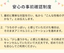 アニマルコミュニケーションを行っています 【先着5名1500円】♪100頭以上の実績・お空の子もOK イメージ2