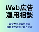 Web広告運用に関する相談に乗ります 現役広告代理店運用者がハンズオンでご相談を承ります イメージ1