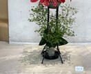 お花をペットポドルで飾れるように教えます 華道師範所有者が、華道の要素を活かして、お教えします。 イメージ10