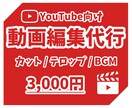 YouTube向けの動画編集を代行します アナタの動画の視聴率が上がるように真心込めて動画を編集します イメージ1