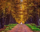 開運の手助けをいたします 光に包まれた人生を歩みましょう。 イメージ3