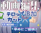 会話を正確にテキスト化。字幕・キャプションにします 伝わる字幕で映像にわかりやすさを目指します イメージ1