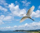 お相手の気持ちをやさしく読み解きます 不安な恋に寄り添うタロット鑑定 イメージ4