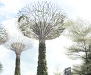 批判も否定もしません/あなたのお話をお聞きします お試し1分でも/違うかな？と思ったらすぐやめても構いません イメージ4