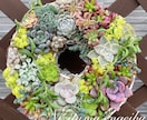 多肉植物の寄せ植えお作りします 多肉植物の専門家があなたにピッタリの寄せ植えをお作りします イメージ2