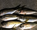 海ルアーフィッシングに興味ある方一から教えます やりたいけどわからないそこあなたにわかりやすく教えます イメージ1