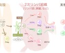 科学イラスト描きます 研究説明フィギュア～抽象概念イラストまで、幅広く イメージ3