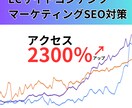 SEO対策！自社の実績2300％達成した方法ます ECサイトコンテンツマーケティングでアクセスが上がった実績 イメージ1