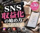 SNS収益化の始め方を30ページで徹底解説します 初心者向けSNS運用から収益化まで基礎から実践的に学べる教材 イメージ1