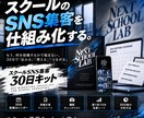 スクールのSNS集客30日プランを作ります 生徒募集につながる30日分の投稿設計をまとめます！ イメージ1