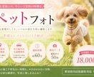 自然な表情を大切に愛犬・ペットを撮影いたします 大切な家族との、今という宝物を写真に。 イメージ1