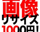 画像リサイズ＆修正します 画像のサイズを変えるだけなのに、この金額は...と思う方 イメージ1