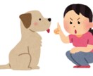 ドッグトレーナーが教えます 愛犬のしつけや問題行動にお困りの方♩ イメージ1