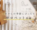 思わずクリックしたくなる！アイキャッチ作成します シンプルなデザインならおまかせください！最短3日で納品◎ イメージ7