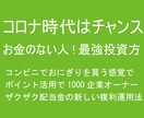 株初心者、お金なしでもポイントで資産増法教えます コンビニでおにぎりを買う感覚で1000企業オーナーの配当金を イメージ2