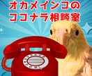 ココナラ出品者向け☆電話でお悩み相談を伺います 今すぐ話したい出品者さん！実績1000件の経験から解決します イメージ1