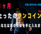 1ヶ月【500円】でプロになる為の基礎を作ります 【海外で通用する鋼のボディー】／体幹トレーニングを徹底指導！ イメージ1