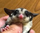 沢山の方々のお悩み愚痴聞き相談相手してきています 気持ちが楽に、ご飯も進み、夜もぐっすりと眠れるようにッ！ イメージ3