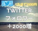 Twitterフォロワーを＋2000以上増やします 【早期納品】1万フォロワー増で合計5500円(オプション有) イメージ1