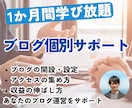 ブログ収益化に向けて1か月間個別サポートします キーワード選定、アクセス集め、収益化の仕方、戦略をお伝え イメージ1