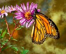 動物イラストを一つ一つ丁寧に描き上げます 自分や身近な人のペットの可愛いイラストが欲しい方へ イメージ4