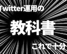 Twitterの正しい運用方法を教えます インフルエンサーのノウハウを破格の値段ではここだけですます。 イメージ1