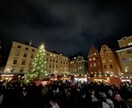 スウェーデン在住10年リアルな移住アドバイスします 家族での移住経験を活かしたすべてに関する相談が可能です！ イメージ6