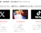 X・インスタ・TikTok運用代行＆コンサルします 【実績50社以上】フォロワー増・集客・成約UP イメージ4