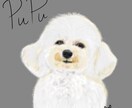 やさしい雰囲気で可愛くペットの似顔絵描きます わんちゃん、ねこちゃん、とりさん、ハムちゃんなどなど イメージ6