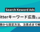 初心者でも簡単にフォロワー、インプ爆大に増やします 他では絶対教えてくれない簡単な効率運用！ イメージ1