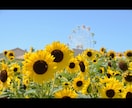 写真をチェキ風写真にします 現役高校生が写真をチェキ風写真に加工します！ イメージ1