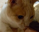 どんなお話でもお返事します 人生経験が豊富なおかんに何でもトークルームで話して下さい。 イメージ2