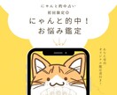 初回限定◎にゃんと的中！お悩み鑑定いたします 総実績100名さま限定！本音と現実を整え次の一歩を後押し⭐︎ イメージ1