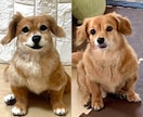 5名限定　愛犬のうちの子オーダーお作りします もう一度会いたい愛犬を羊毛フェルトでお迎えしませんか？ イメージ8