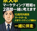 京大卒：マーケティング戦略を2週間一緒に考えます 10兆円外資系マーケター＆大学マーケティング講師が一緒に伴走 イメージ1