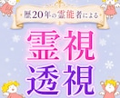 歴20年☆全てが視えるプロ霊能者が霊視/透視します 霊視と透視の合わせ技！独自手法過去、過去～未来まで全て視ます イメージ5