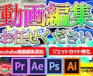 youtube動画のカット編集します ジェットカット30分以内3000円！ イメージ1