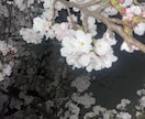 誰にも言えないお悩み貴方のお話お聞きします。ます やさしく丁寧に寄り添います◎チャット形式で安心！ イメージ1