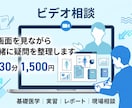 医療・福祉の疑問を一緒に整理します 基礎医学・実習・レポート・退院支援まで対応 イメージ1