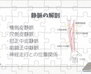 あんちょこみたいな静脈内注射スライド資料あります 新人看護師向け|静脈内注射留置マニュアル基礎から実践まで イメージ6