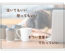 もう全部投げ出したい…日々のお悩みお聴きします 毎日の家事、育児や介護でぐったり…気分転換しませんか イメージ4