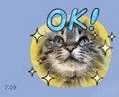 あなたの大切なペットのLINEスタンプを作ります 可愛くて使いやすいLINEスタンプを作ります！ イメージ3