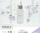 集客につながるバナー・SNS画像制作します 最短3営業日納品／修正2回まで無料／初めてでも安心の丁寧対応 イメージ2