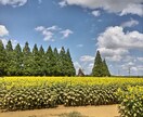 介護でつらいあなたへ。お話聞きます 〜心のモヤモヤを外に出しちゃおう〜 イメージ1