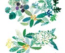自然、花 ナチュラルイラスト制作します 絵の具のにじみやカスレを生かしたイラスト イメージ1