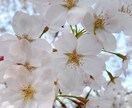 愛するお子様と笑顔で向き合えるお手伝いします ☆ストレスを溜め込まず楽しく子育てに向き合えるお手伝いします イメージ1