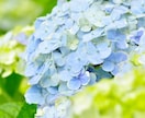 彼女のように、奥さんのように…お話聞きます 何でもお話お聞ききします。少しでもあなたを癒せますように… イメージ5
