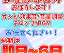 Shorts動画お作りします ココナラ内最安の3000円で承ります！！ イメージ2