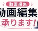 動画編集します YouTube等のカット、テロップ入れなど イメージ1